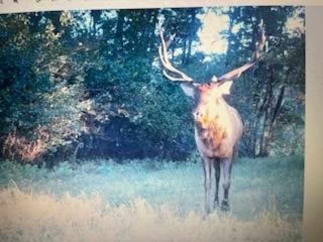 Black River Falls Land Real Estate