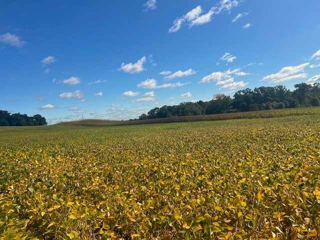 Black River Falls Land Real Estate