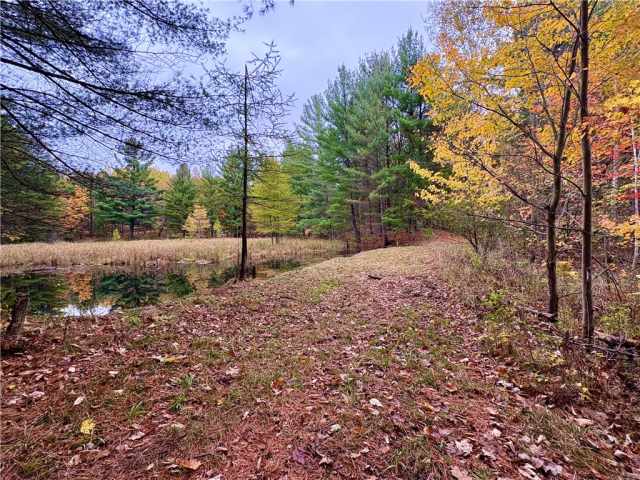 Cumberland Land Real Estate