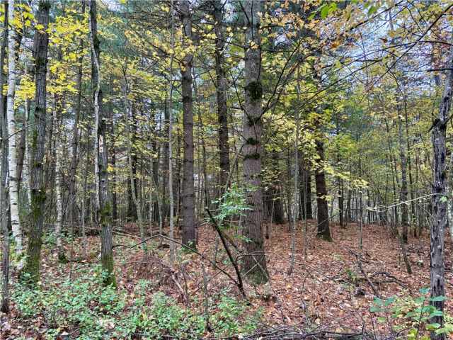 Cumberland Land Real Estate