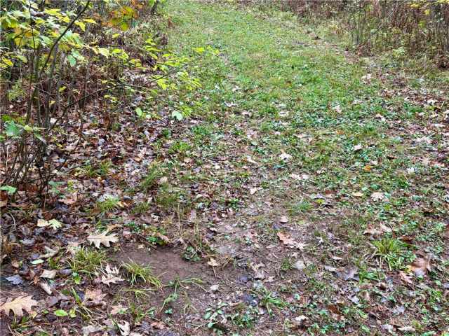 Cumberland Land Real Estate