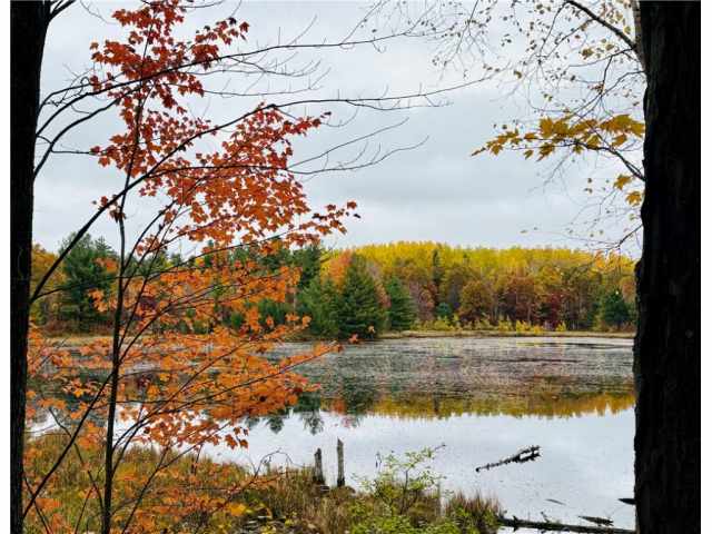 Cumberland Land Real Estate