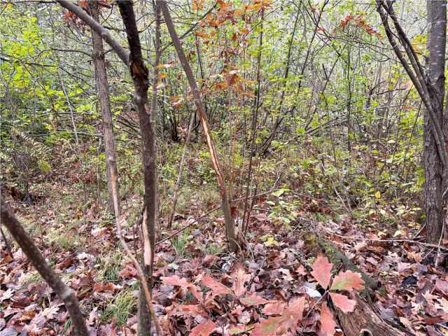 Cumberland Land Real Estate