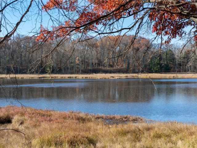 Webster Residential Real Estate