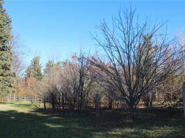 Frederic Residential Real Estate