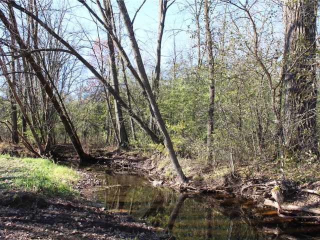 Frederic Residential Real Estate