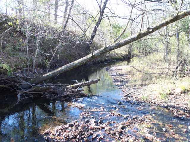 Frederic Residential Real Estate