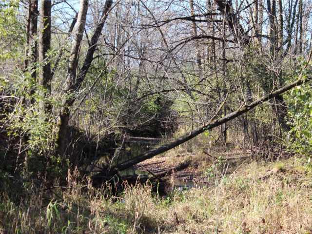 Frederic Residential Real Estate