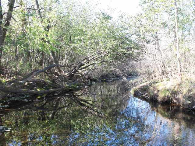 Frederic Residential Real Estate