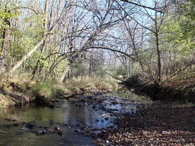 Frederic Residential Real Estate