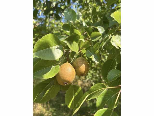 Frederic Residential Real Estate