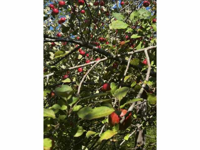 Frederic Residential Real Estate