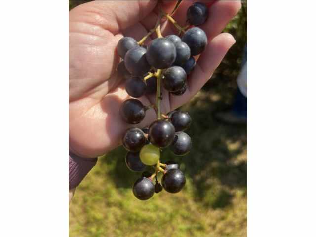 Frederic Residential Real Estate