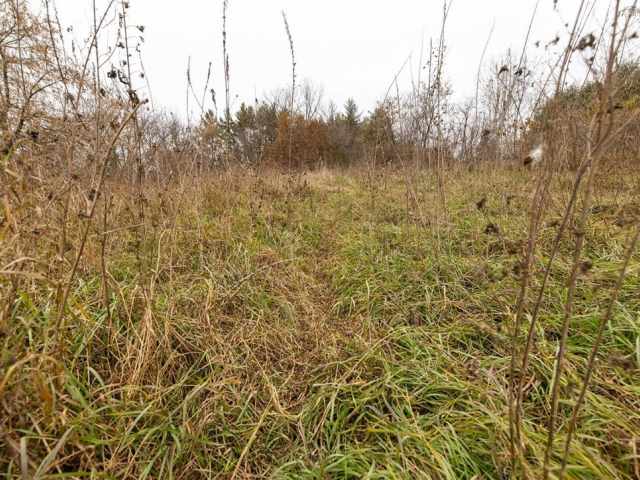 Osseo Land Real Estate