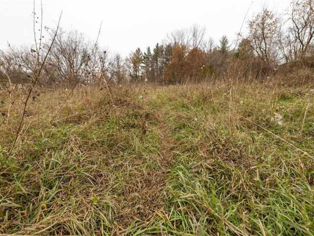 Osseo Land Real Estate