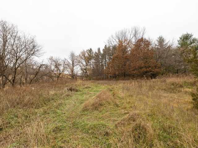 Osseo Land Real Estate