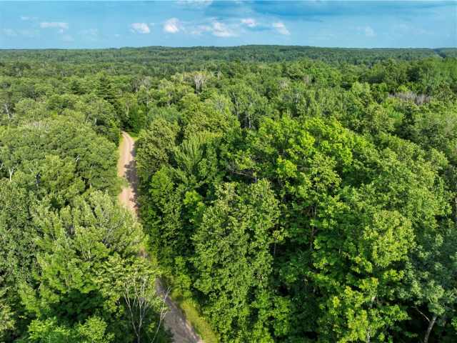 Rice Lake Land Real Estate