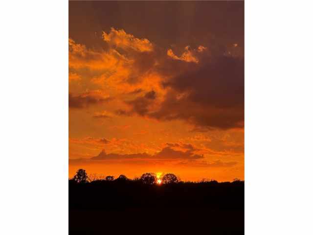 Gilman Residential Real Estate