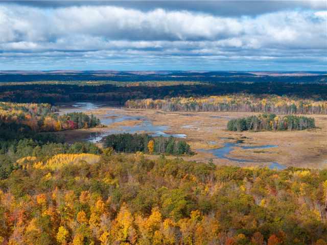 Hayward Residential Real Estate