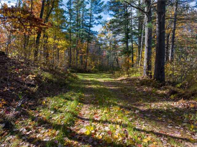 Hayward Residential Real Estate