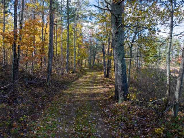 Hayward Residential Real Estate