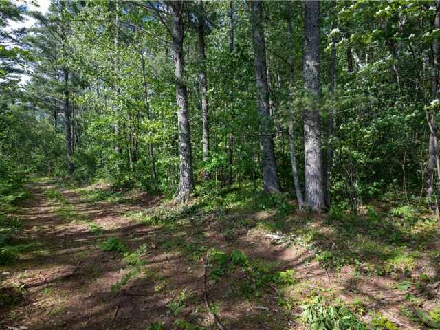 Hayward Residential Real Estate