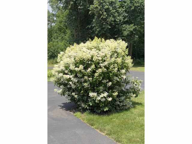 Barron Residential Real Estate