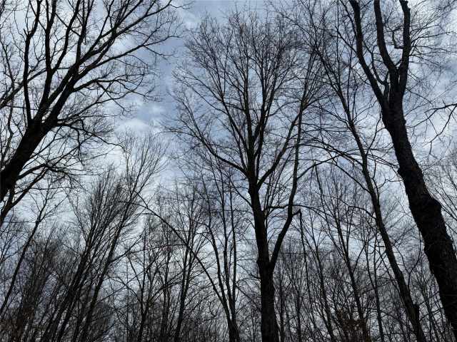 Granton Land Real Estate