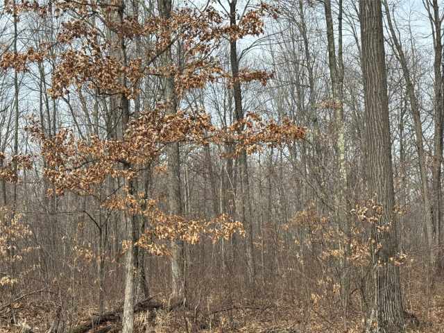 Granton Land Real Estate