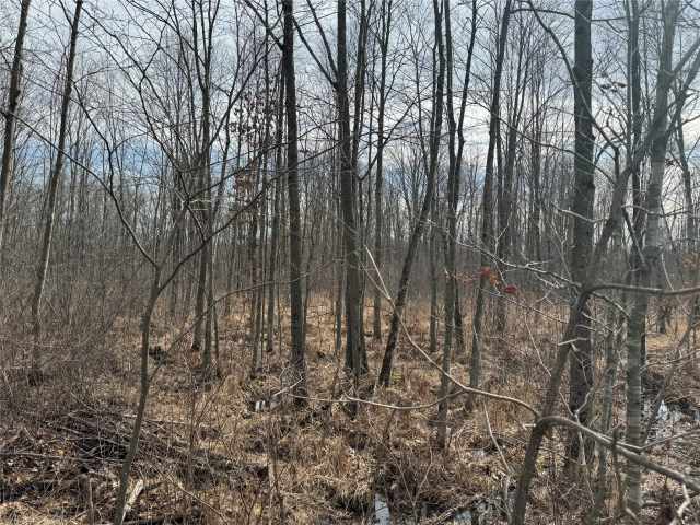 Granton Land Real Estate