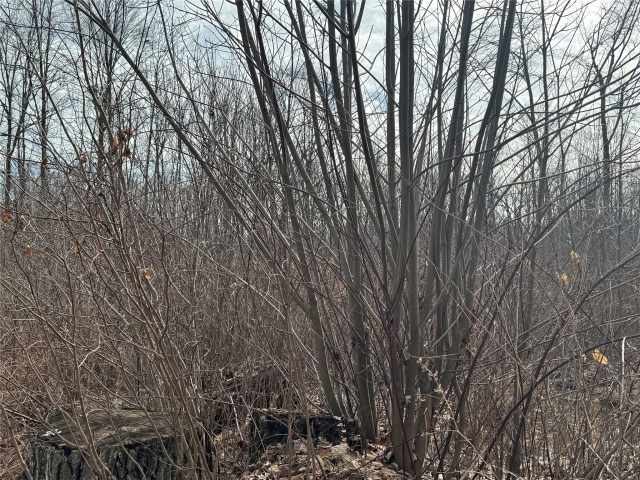 Granton Land Real Estate