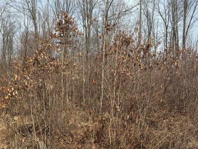 Granton Land Real Estate