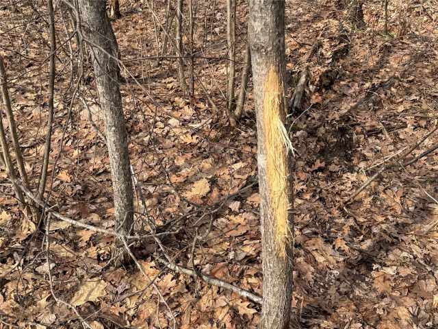 Granton Land Real Estate