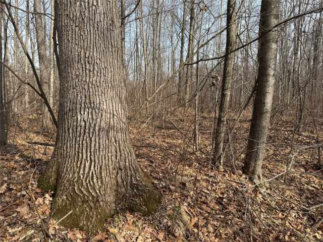 Granton Land Real Estate