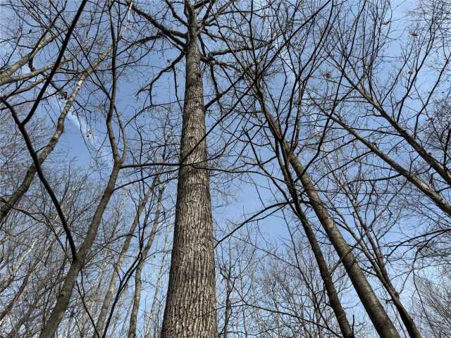 Granton Land Real Estate