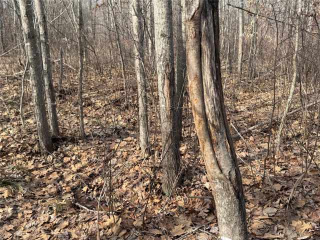 Granton Land Real Estate