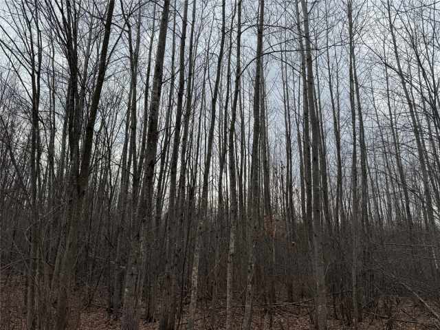 Granton Land Real Estate