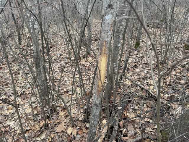 Granton Land Real Estate