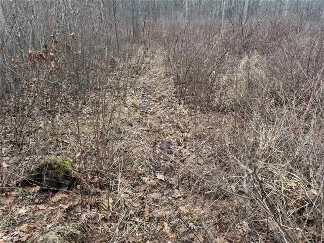 Granton Land Real Estate