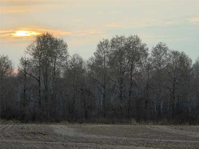 Holcombe Land Real Estate