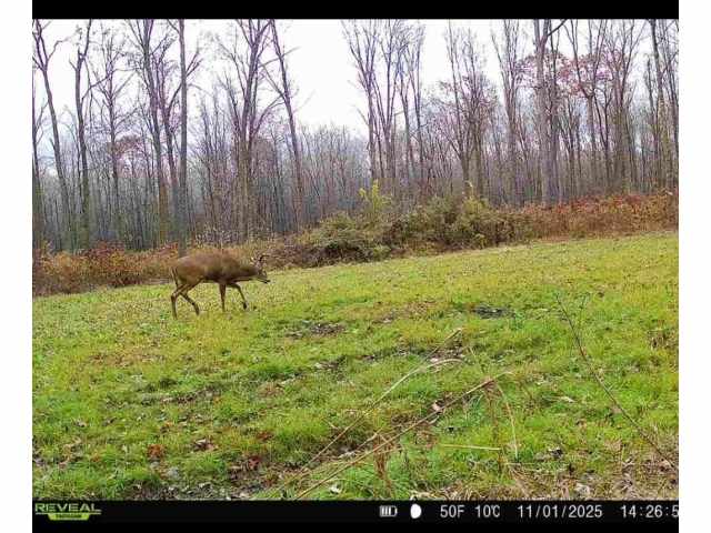 Holcombe Land Real Estate