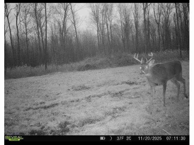 Holcombe Land Real Estate