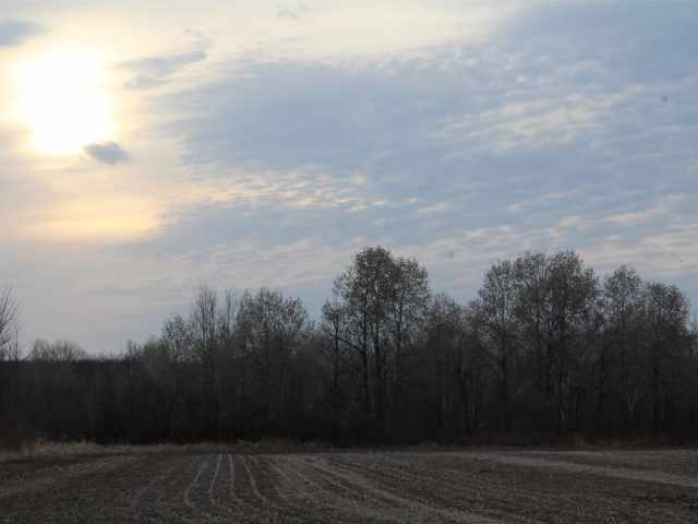 Holcombe Land Real Estate