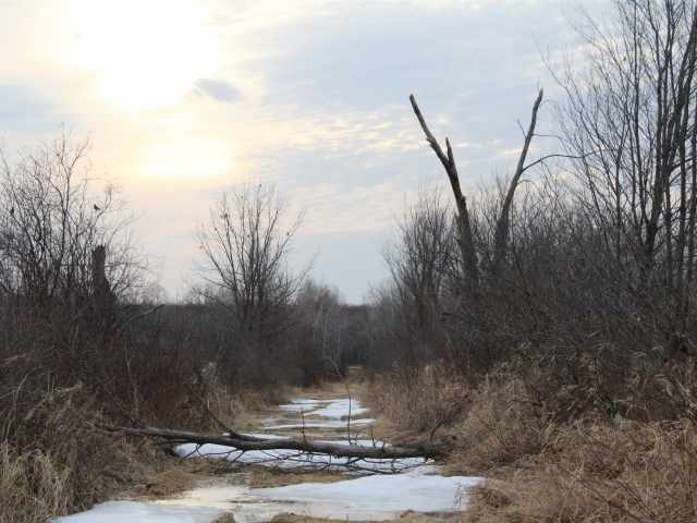 Holcombe Land Real Estate