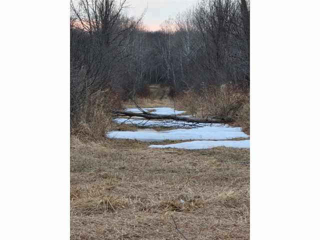 Holcombe Land Real Estate