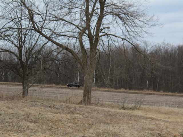 Holcombe Land Real Estate