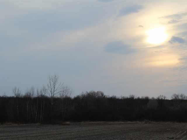 Holcombe Land Real Estate