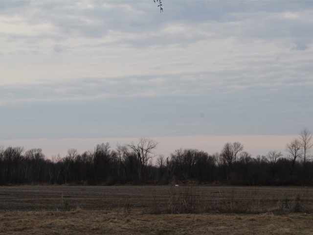 Holcombe Land Real Estate