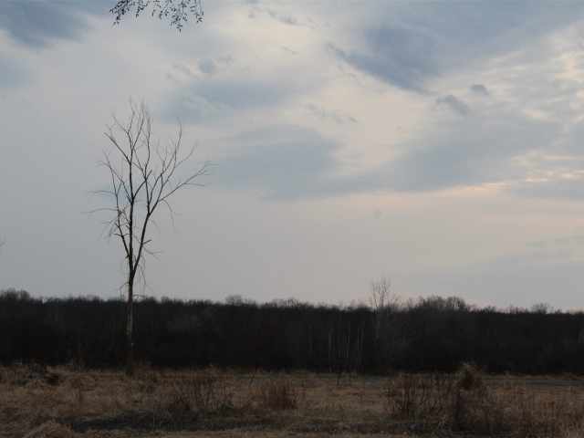 Holcombe Land Real Estate