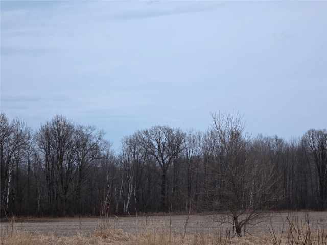 Holcombe Land Real Estate